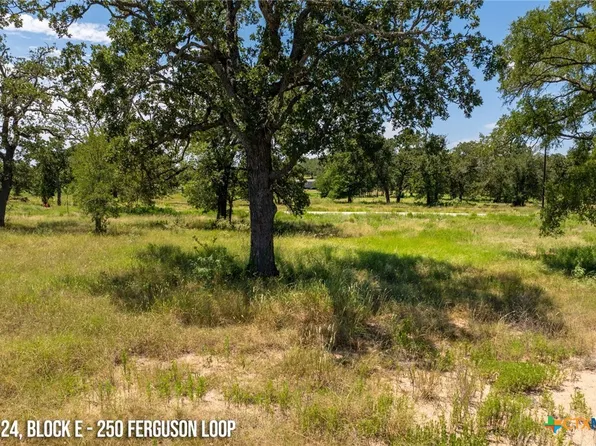 250 Furguson Loop, Dale, TX 78616
