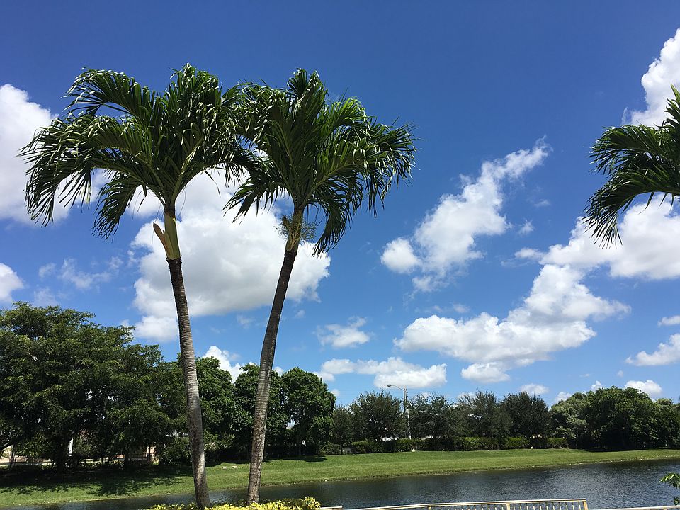 Relaxing views