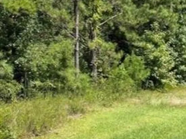 0 Lee Road 537, Salem, AL 36874