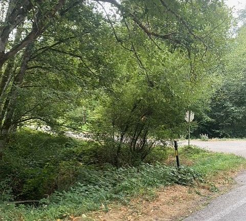 3rd image of 0 SE Wheeler Avenue SE