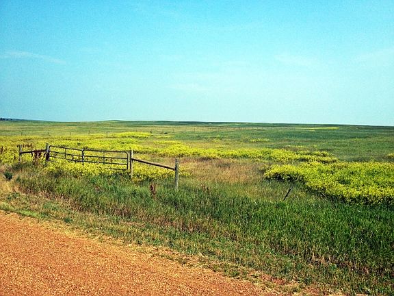 4th image of Sourdough Road