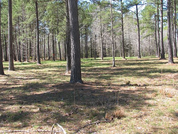 4th image of 557 Southern Plantation Drive North #Lot 241