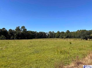 740 Chair Rd, Hemingway, SC 29554