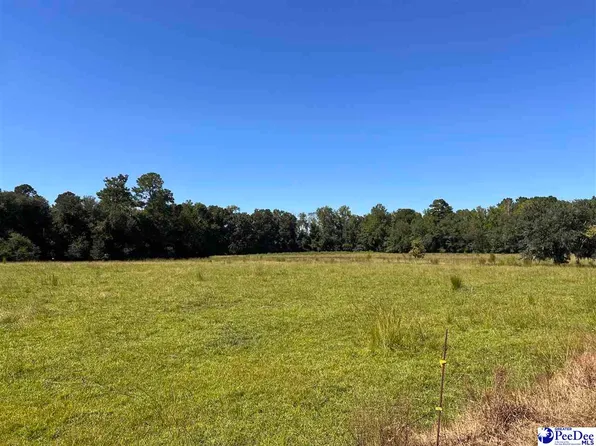 740 Chair Rd, Hemingway, SC 29554