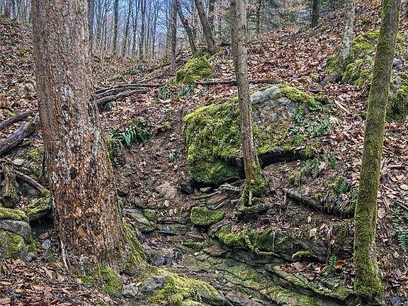 5th image of 709 Cicerone Rd