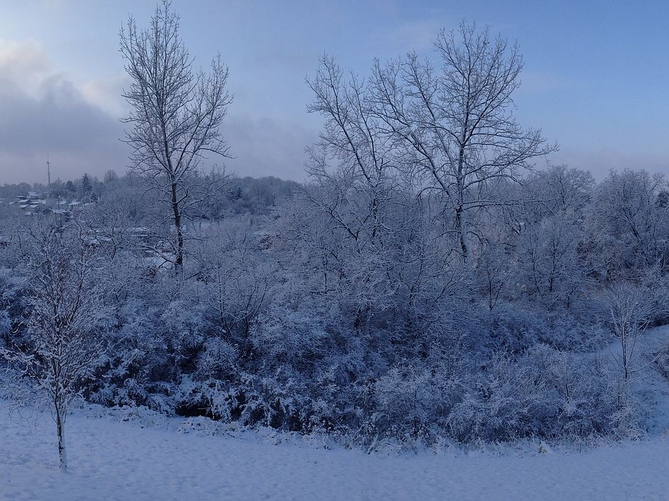 Back Yard View