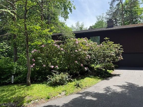 4th image of 1938 Hemlock Dr