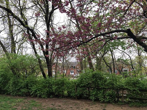 5th image of 1424 28th St S #2