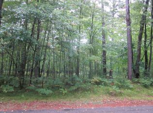 On W Buckatabon Rd, Conover, WI 54519