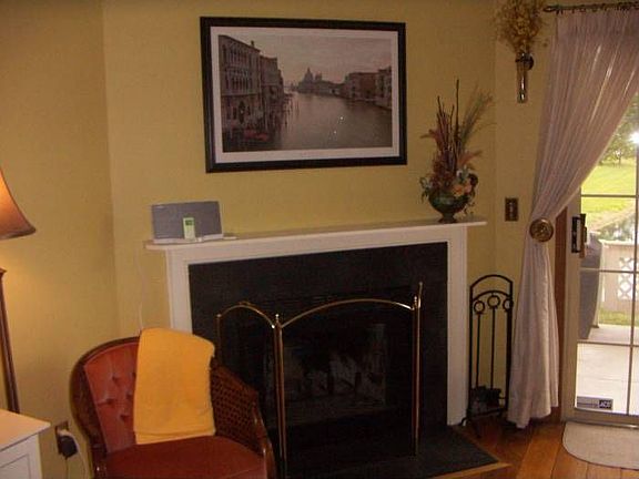 Wood Burning Fireplace