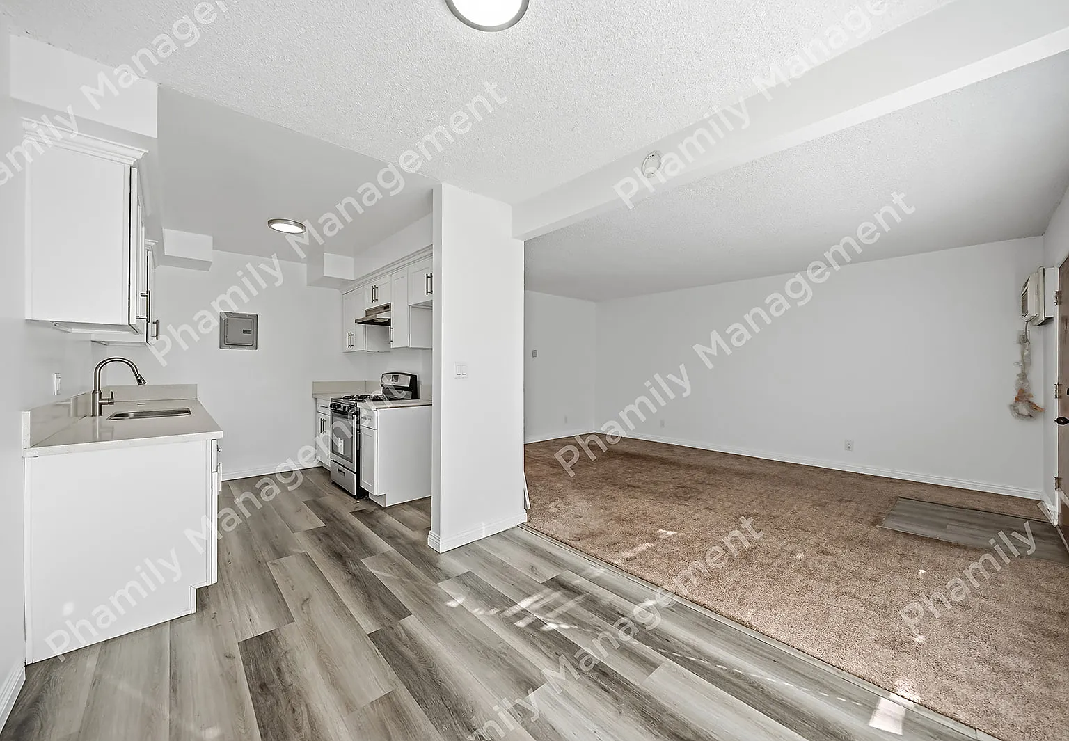 451 Anderwood Ct — Photo 4