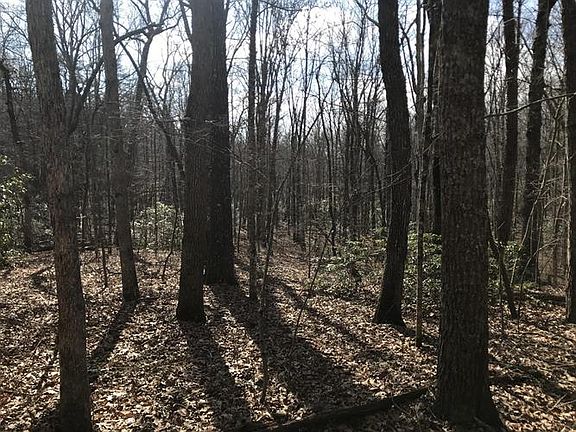 4th image of 286 Milo Webb Dr