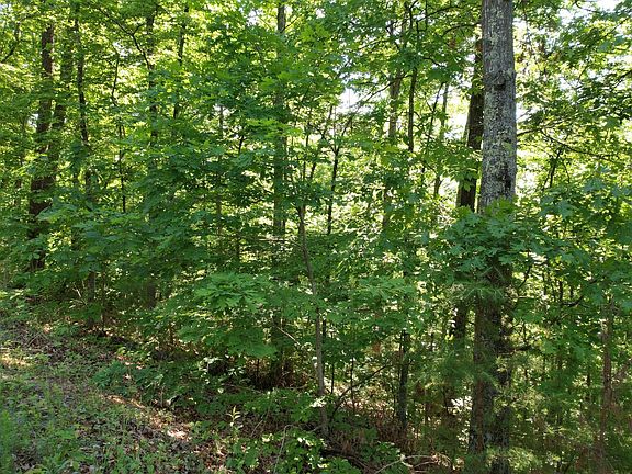 3rd image of 2836 Shady Oaks Way Lot 28&36