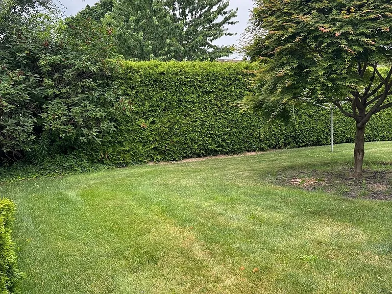 4 Weldon Ct — Photo 32
