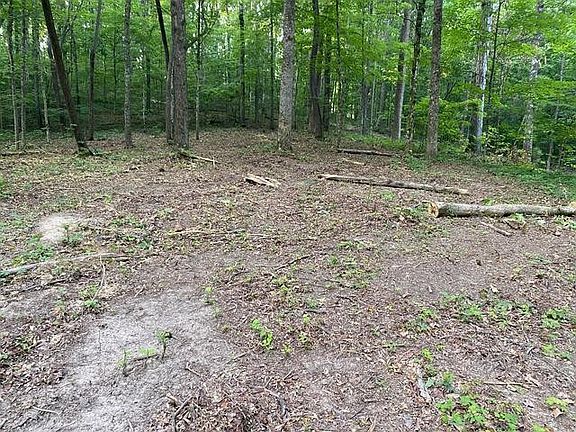 4th image of 296 County Road 263