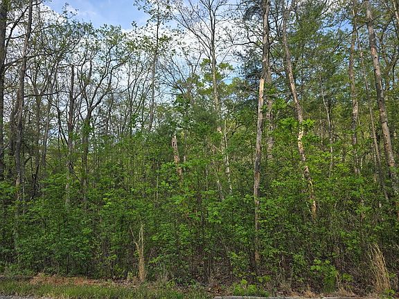 3rd image of LOT 10 Kennedys Ct