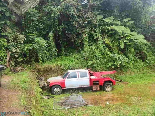 C El Carla Cedros #10, Naranjito, PR 00719