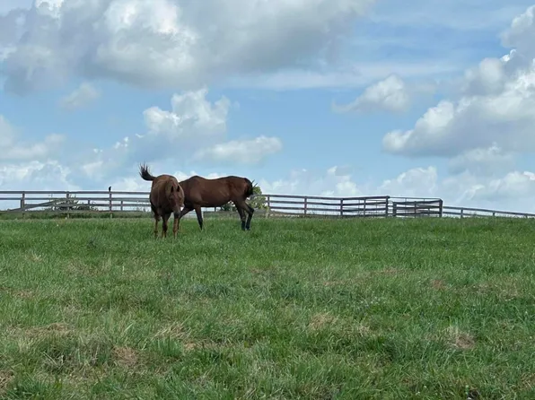 8 Lucy Ln, Cynthiana, KY 41031
