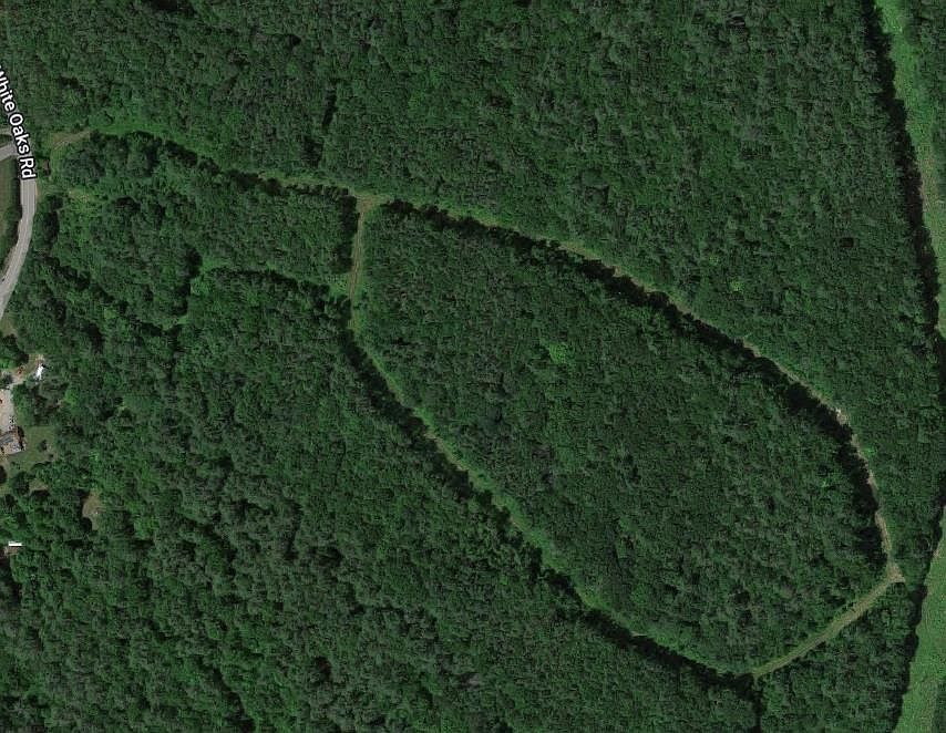 2nd image of 401 White Oaks Road