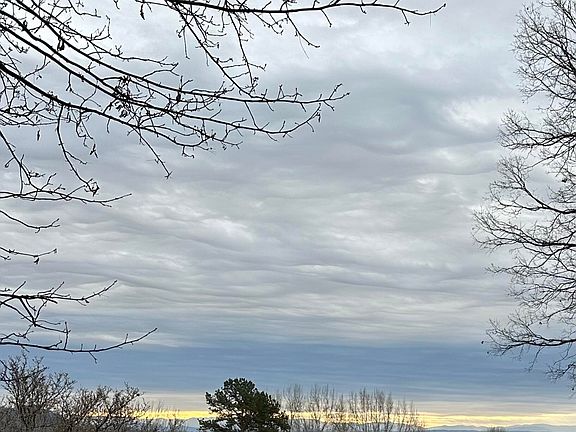 3rd image of 1702 Winding Ridge Trl