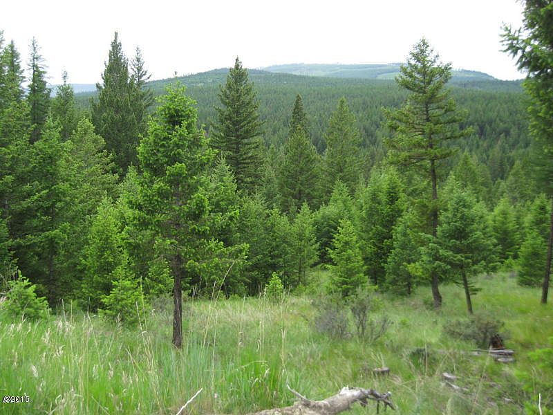 2nd image of Nhn Pinkham Creek Rd