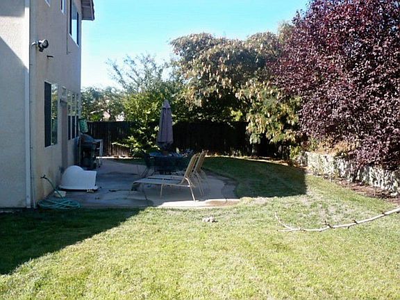 another view back yard