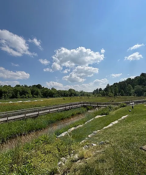 view from screened-in porch