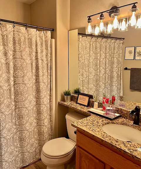 The full downstairs bathroom.