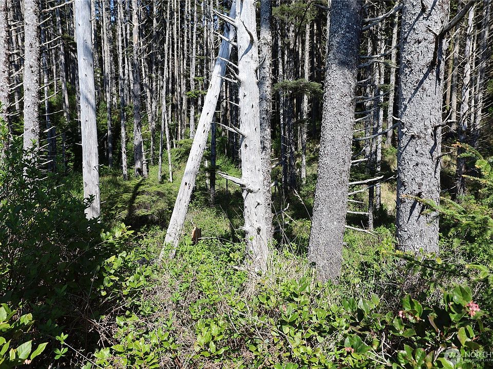 1st image of 5 & 6 Roosevelt Beach Lots