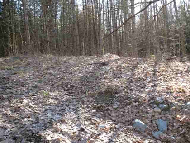 5th image of Lot 1 STEWART Road