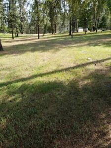 256 Eagle Dr, Chewelah, WA, 99109