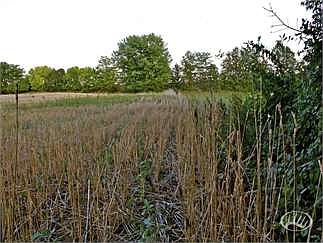 4th image of 9501 County Road 1064