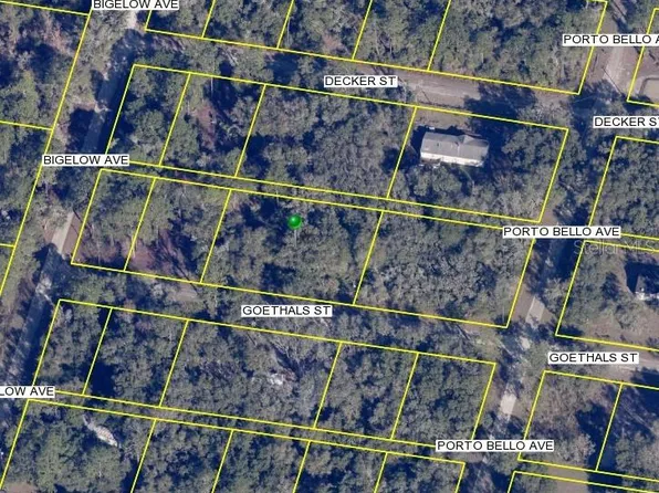 Goethals St #9, Webster, FL 33597