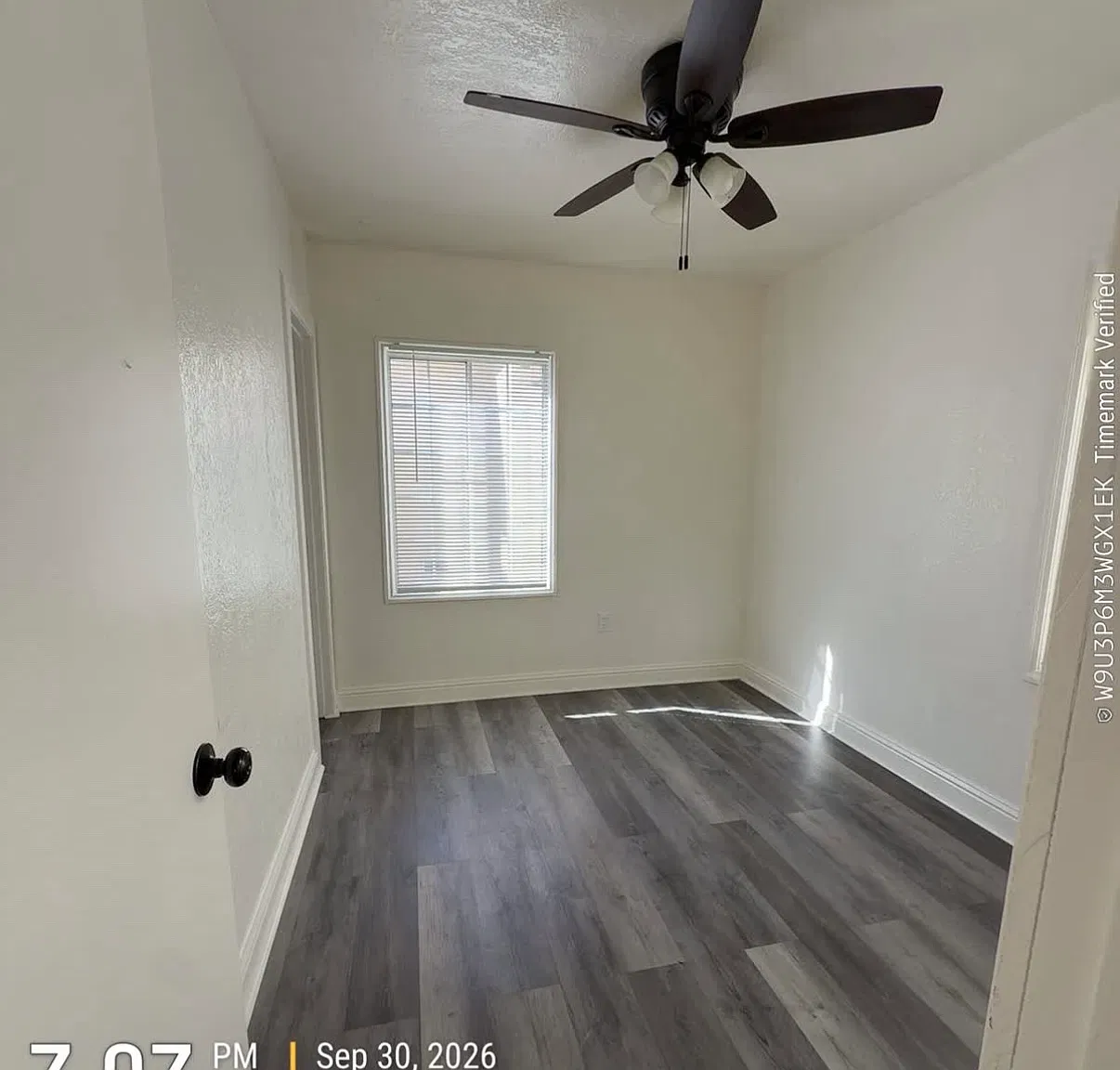 1 bed, $895 — Photo 3