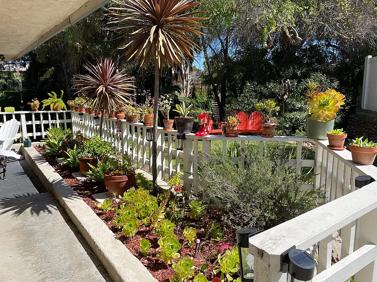 Front yard garden