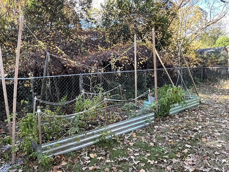 Chevis St — Photo 16