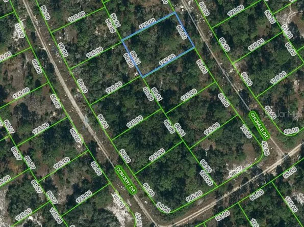366 Chorale Dr #19, Lake Placid, FL 33852