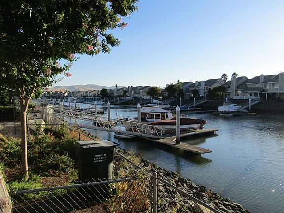 View from the backyard