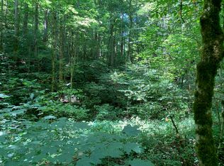 Old Chilhowee Rd, Seymour, TN 37865