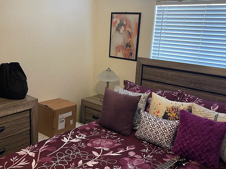 1542 N Placita Colonia De Oro — Photo 10