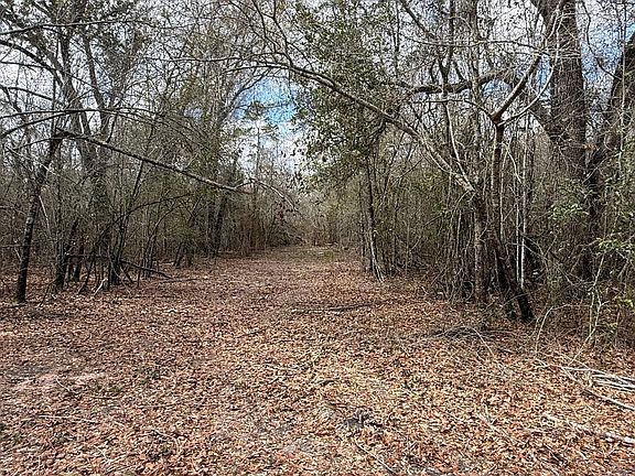 3rd image of 0 Neel Rd