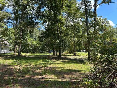 1115 Falco Dr, Manning, SC, 29102