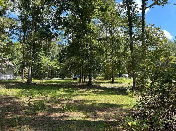 1115 Falco Dr, Manning, SC 29102