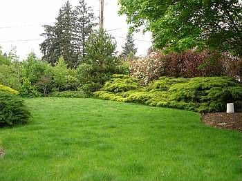 3rd image of 3904 NE 122nd Ave