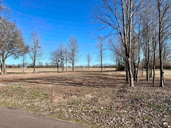 County Road 4230, Winnsboro, TX 75494