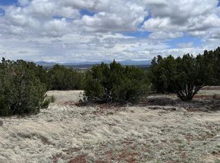 55 County Road 8025, Concho, AZ 85924