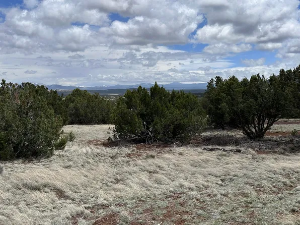55 County Road 8025, Concho, AZ 85924