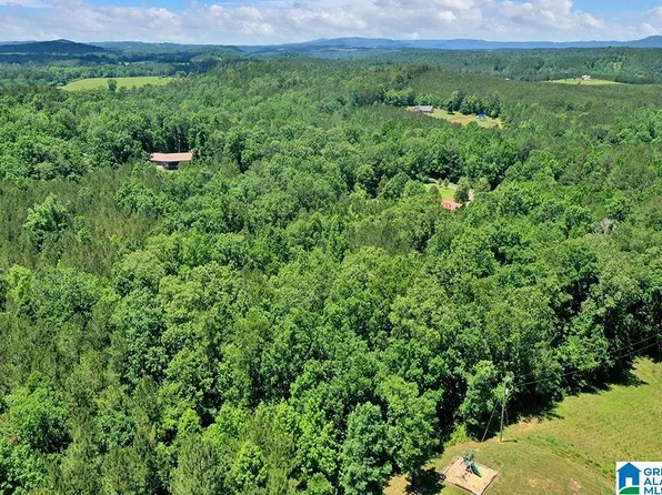 0 Old Beavers Rd #0, Cropwell, AL 35054