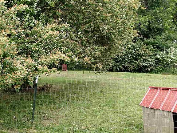 5th image of 276 County Road 342
