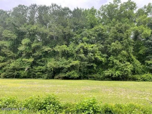 Tbd Point Caswell Road, Watha, NC 28478